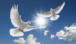 hypnose Stoppen met roken in Breda hypnohelp