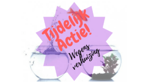 Verhuizing Hypnose Actie